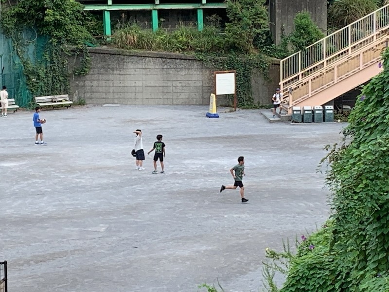 IMG_8308.jpeg